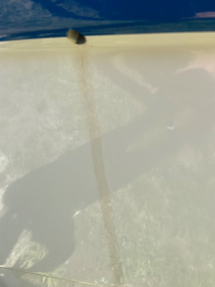 AAB357DC-D94E-45B0-BBAF-AEAE0C67F930.jpeg.52aa65f0ab13ca7e8657e766073c2889.jpeg