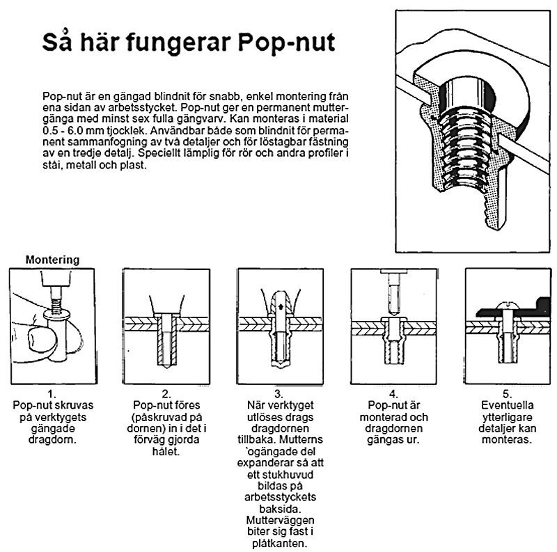pop-nut.jpg.c8f442a0660a8ff4429fce50ab9a0a17.jpg