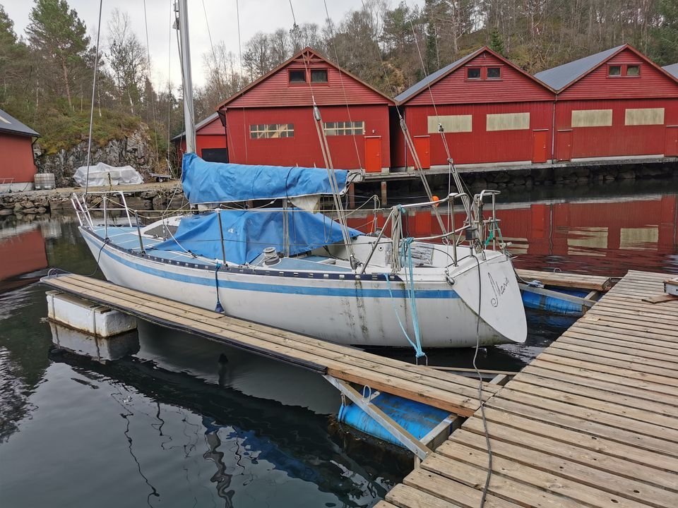 293_1566995267.jpg.7842e2644cbc4d836bf6c0f42aac382a.jpg
