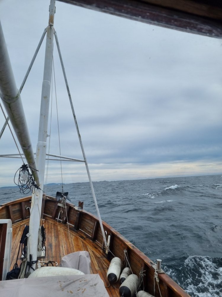 20220702_092635.jpg.a65f9928f815c412152813d92f924654.jpg
