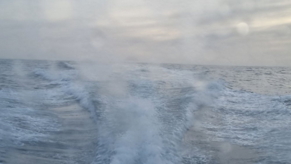 20230110_113552.jpg.f8fdba74e6347392822bce9dcef9b620.jpg