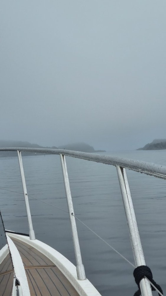 20230325_073156.jpg.a53f53ec36c1e4fd4f31f7fef75808a8.jpg
