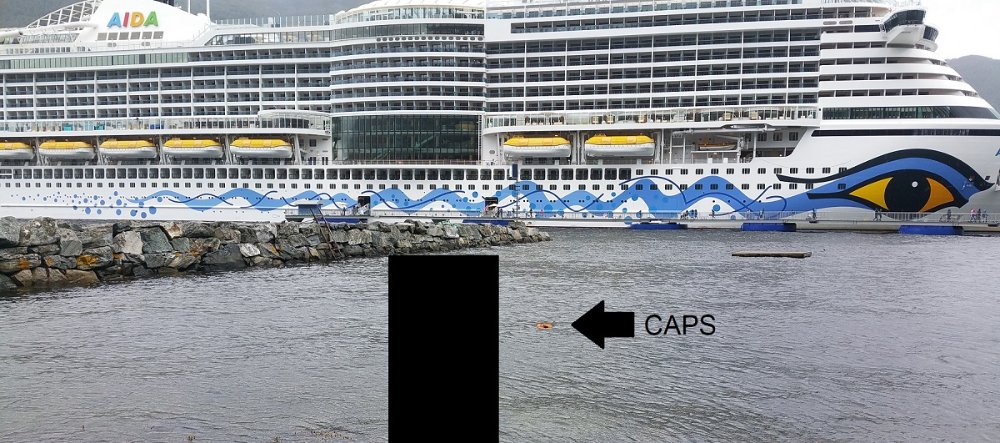 aida.jpg.edfcbdf483886c94666895888cd7a6f4.jpg
