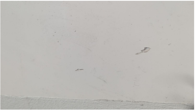 image.png.3105c9e581e7b102d2814ede6c4cd80f.png