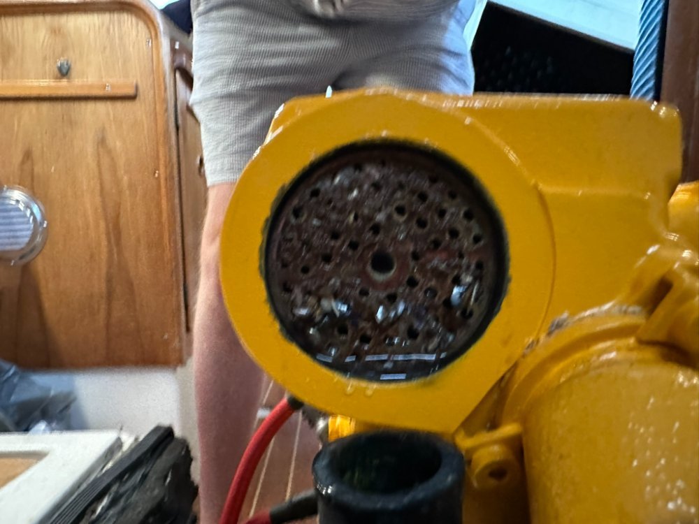 IMG_1749.JPEG.8c4a60380646a5592957715f49cc082a.JPEG
