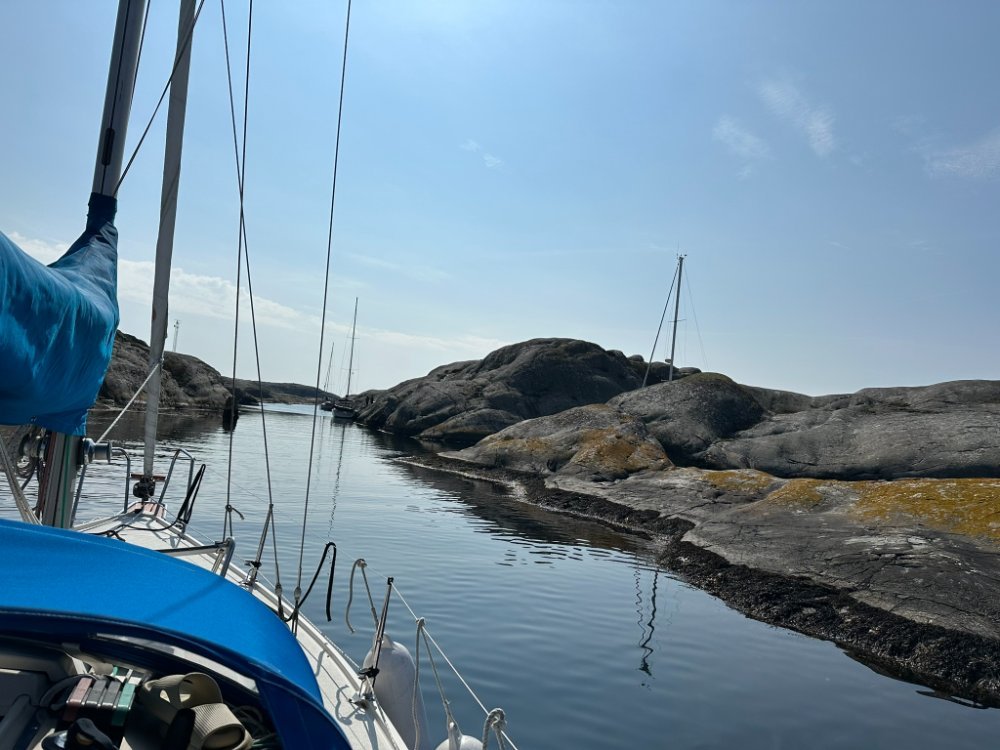 IMG_2580.JPEG.0b807e2072a76bf7ebbf4f3f7ac48493.JPEG