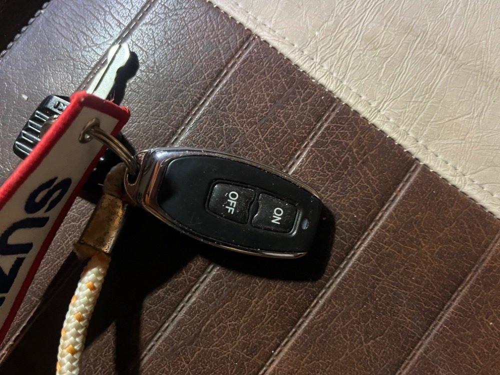 IMG_5570.jpeg.b5e66788ad2918d08d1d056014e5c1d1.jpeg