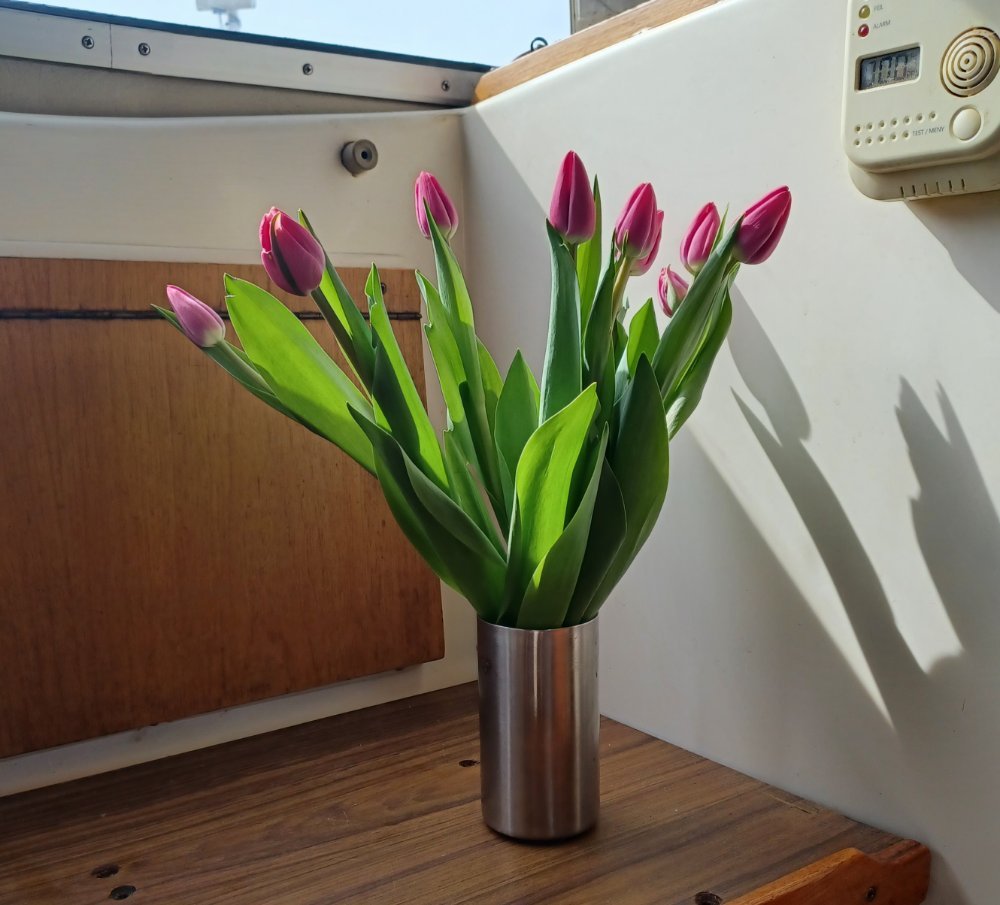 tulipaner_fra_per_otto.jpg.b49227bafe9fd5c6a259a7f9392cf20d.jpg