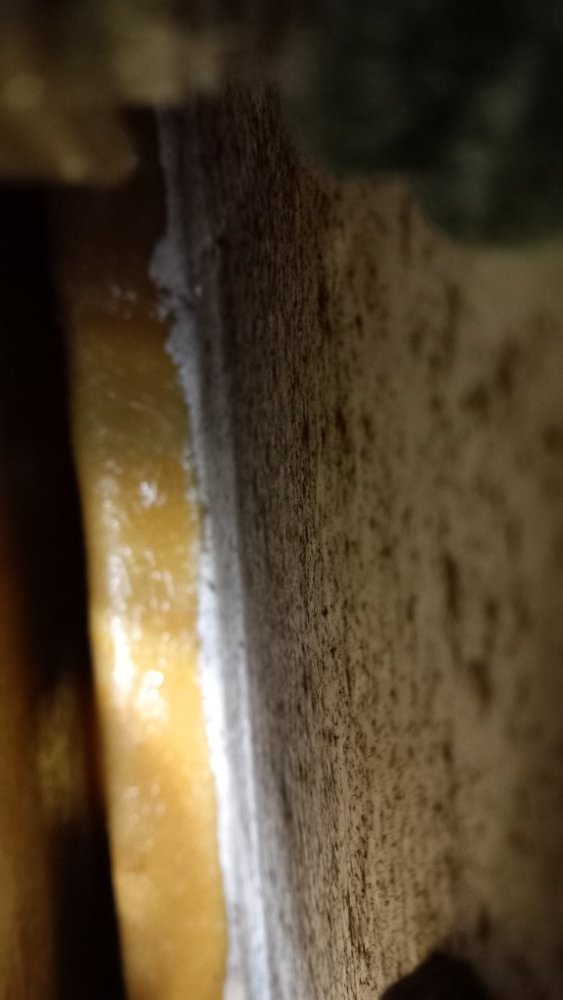 20250508_214509.jpg.be26ce59c2f3b5ea15d1be5e874869e3.jpg