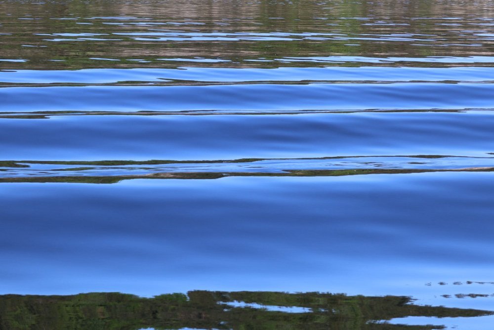 499965884_10160861971132032_6705467291479593429_n.jpg.c387d4c7f0c88241a62d6dabf97781d1.jpg