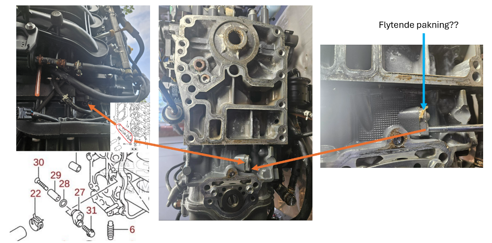 Anodemotor.png.58b6748479c41a0c59a5451af9ef7a40.png