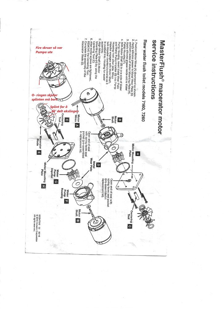 MasterFlush71207220Splitteakael..jpg.bab370537cee44a92718d26128354494.jpg