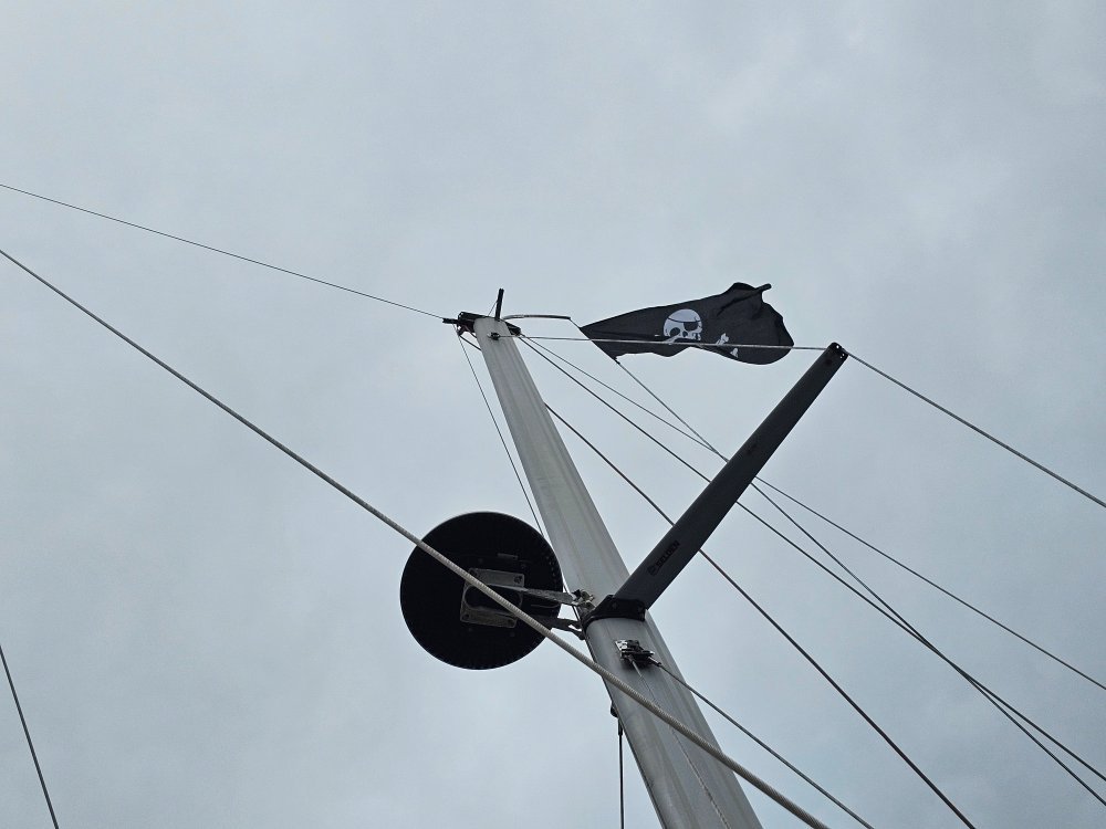 20250714_114355.jpg.49178c657cc014436c30a1213a8a3bc4.jpg