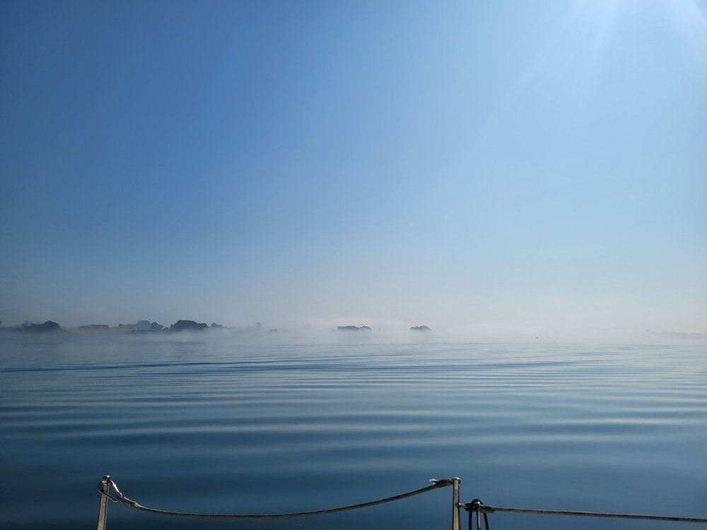 20250719_094052.jpg.229756f9be7327933db3e51e82e2112e.jpg