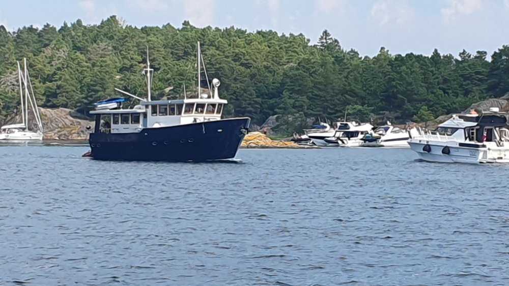 20250720_120634.jpg.46b8698fcb29b07b5e25ec32cb1301b4.jpg