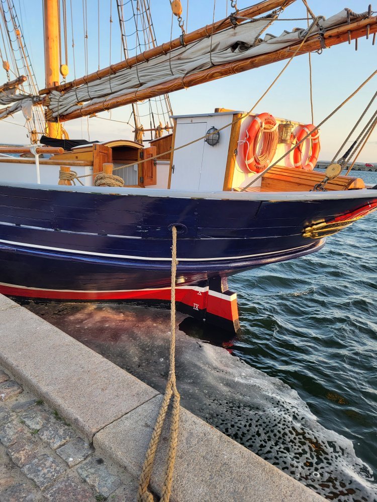 20250729_055347.jpg.bf1f490bb56cf8efa26bf351419fb52b.jpg