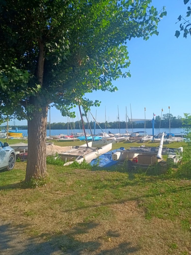 IMG_20250630_090545084_HDR.jpg.2d760c7f382f8949ce956e6b3e9cb320.jpg