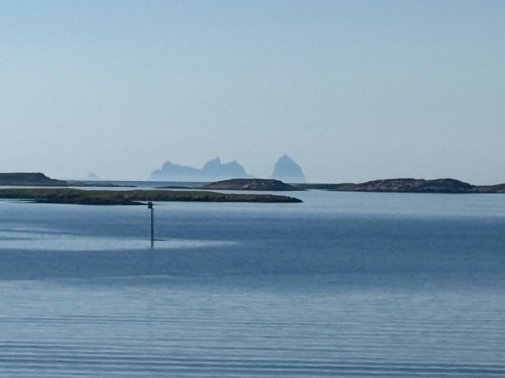 IMG_5382.jpeg.db13b3ebc5b3ad15a7d116738152d456.jpeg