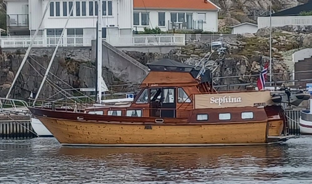 sephina.jpg.95f2e611236207c033725a5179ac75da.jpg