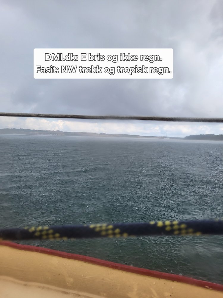 20250801_104708.jpg.1f1680aa6a92d5b8dd188aa1daf34b0a.jpg