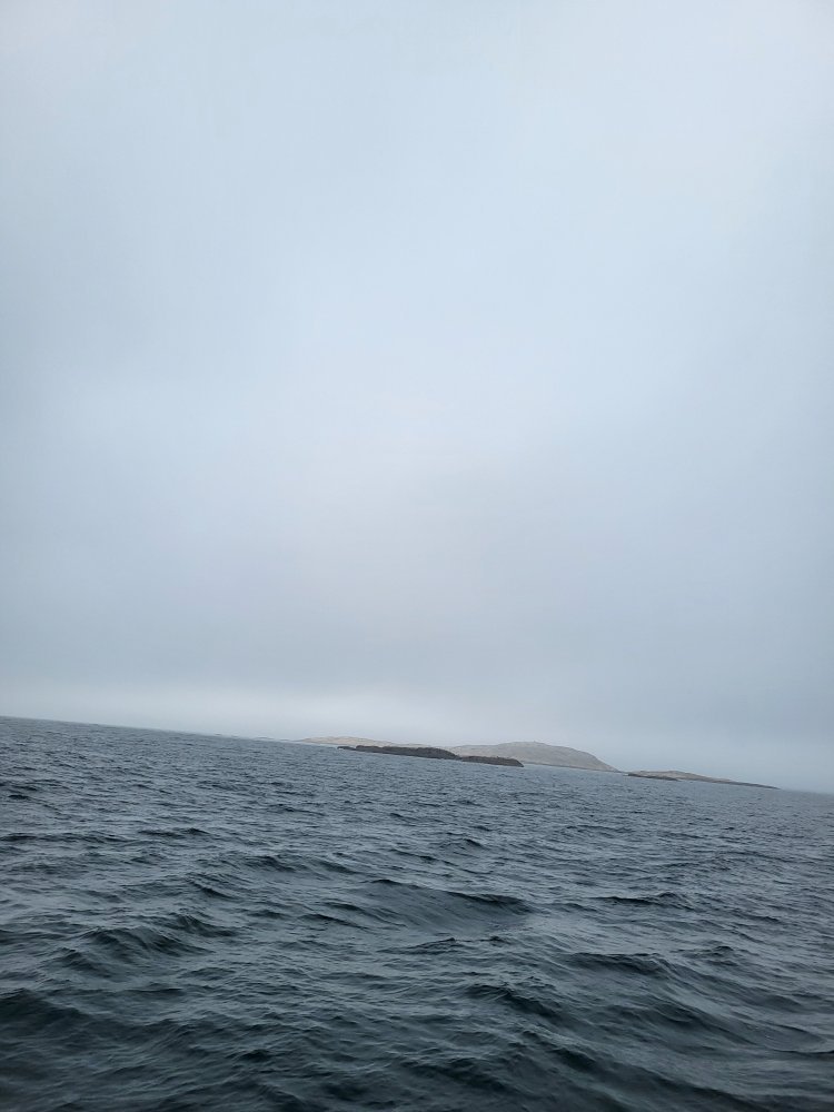 20250815_121111.jpg.9f81791a2686eddd8fdfa6e73d9f4820.jpg