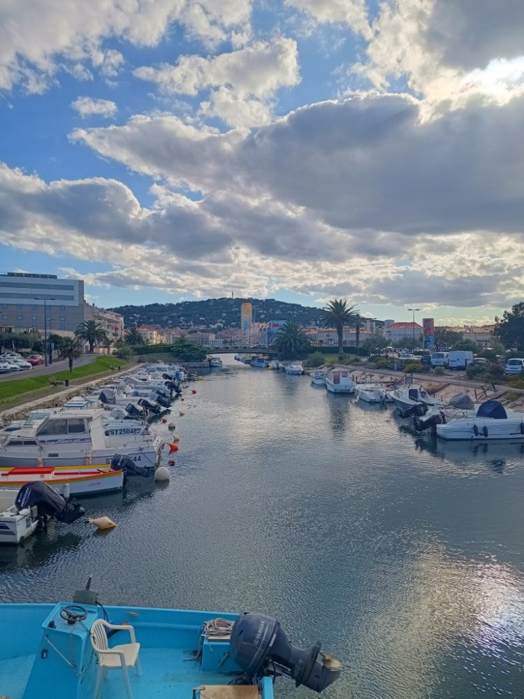 IMG_20250721_183356939_HDR.jpg.36a81d5b6e11d8208a6a75b6a841f033.jpg