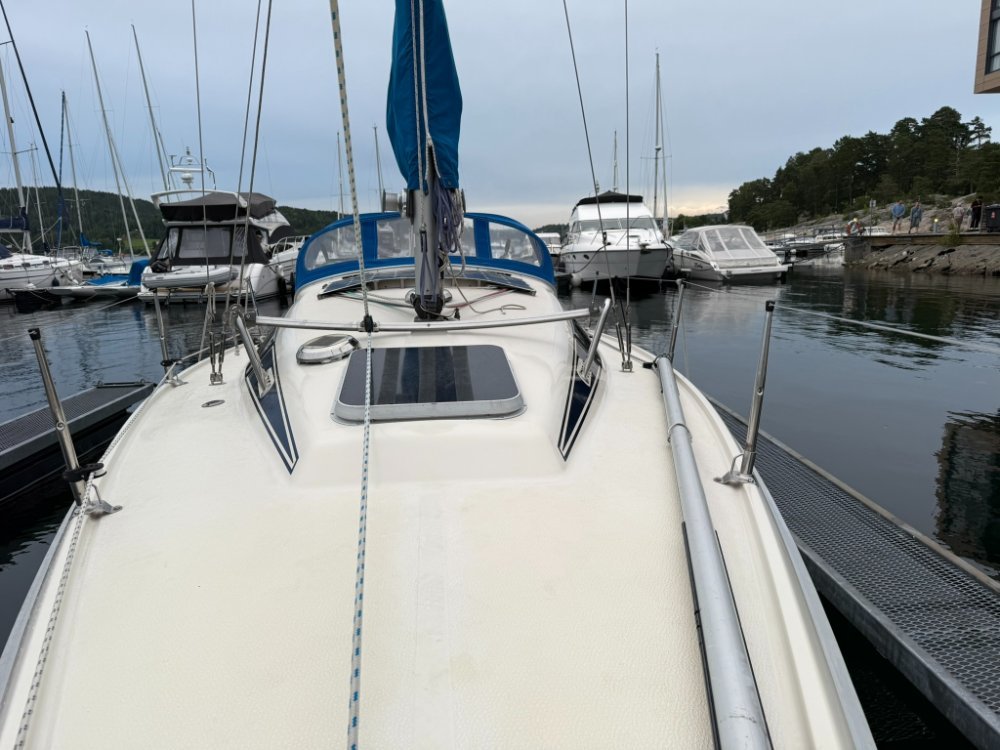 image.jpeg.ca0e0b625734c513a08fcde5829177b6.jpeg