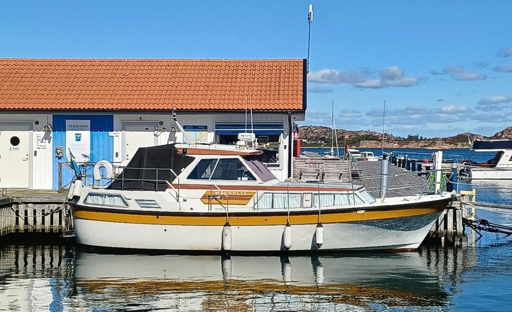 malmon_2025_tussebaat.jpg.c569a401e095f1680ffe122ca61368c0.jpg