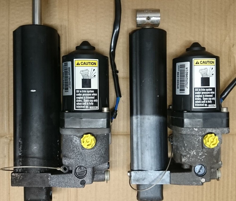paret-2019.jpg.75efbbcde3fea370e7485b134d7d4bf9.jpg
