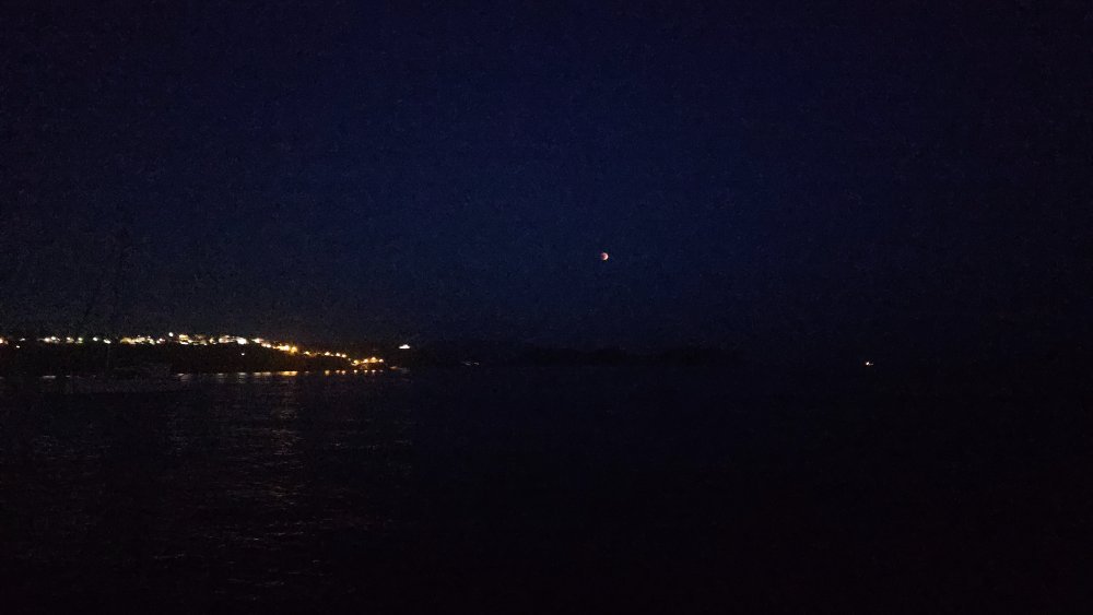 20250907_203336.jpg.0cc03615dd76bb8d2e176823705cdef8.jpg
