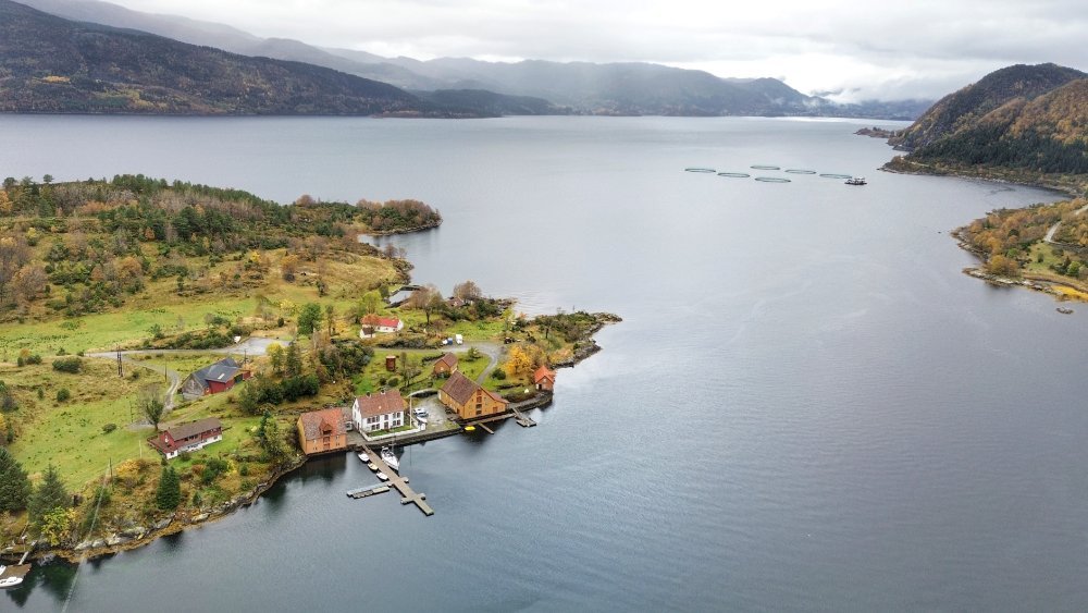 DJI_0451-01.jpeg.ddee395cde84df7cab1211b2b3505f61.jpeg