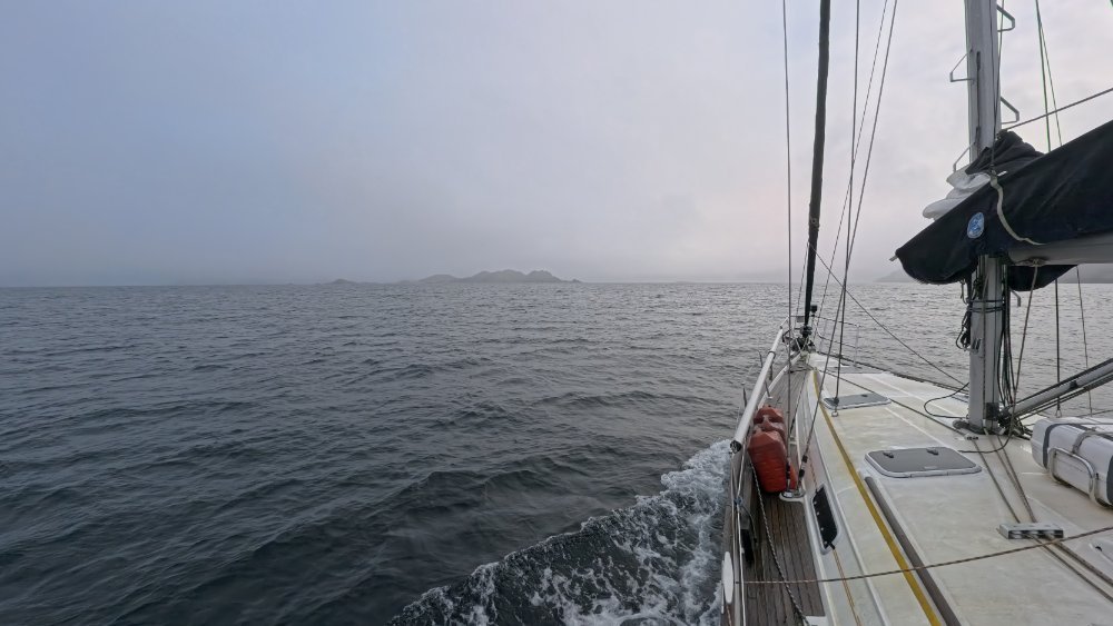 IMG_20251014_164431_114-01.jpeg.6dbd7fb364620d71aedbb922c8f1d362.jpeg